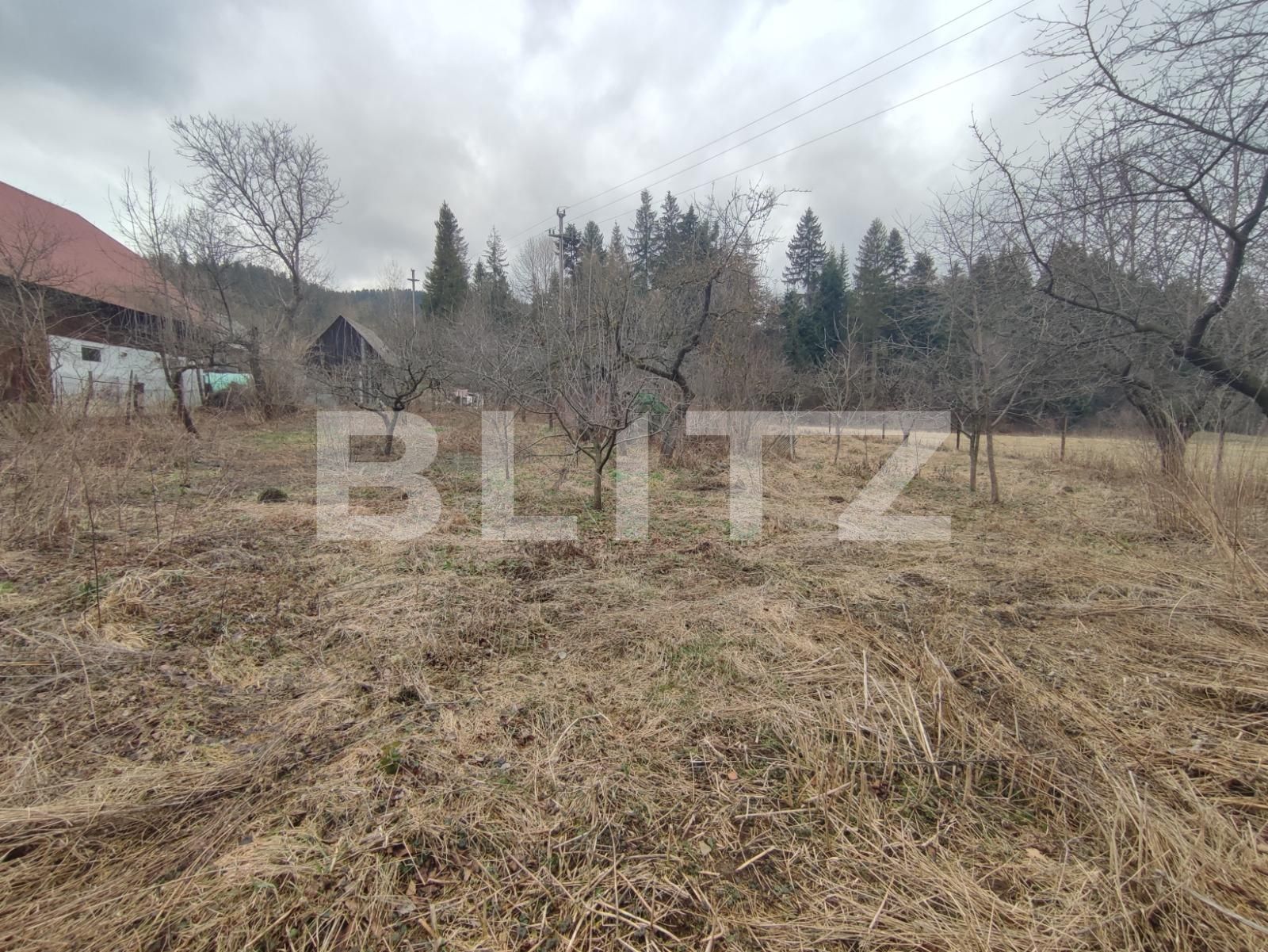 Casa de vânzare 4 camere Radauti - 135825CV | BLITZ Suceava | Poza14