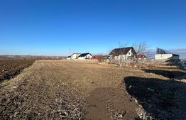 Oportunitate!Teren intravilan ,7552 mp parcelabil , drum de 7m , Lisaura