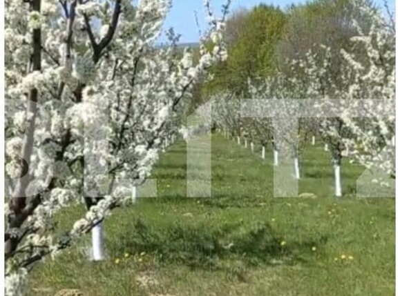 Teren de vânzare Nord Est - 135887TV | BLITZ Suceava | Poza1