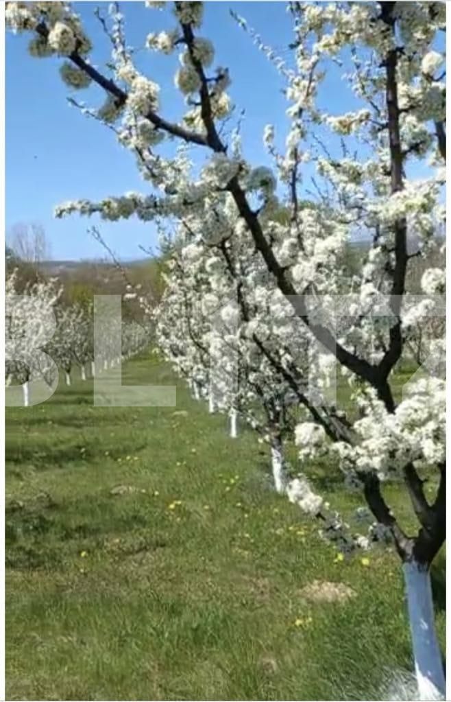 Teren de vânzare Nord Est - 135887TV | BLITZ Suceava | Poza4