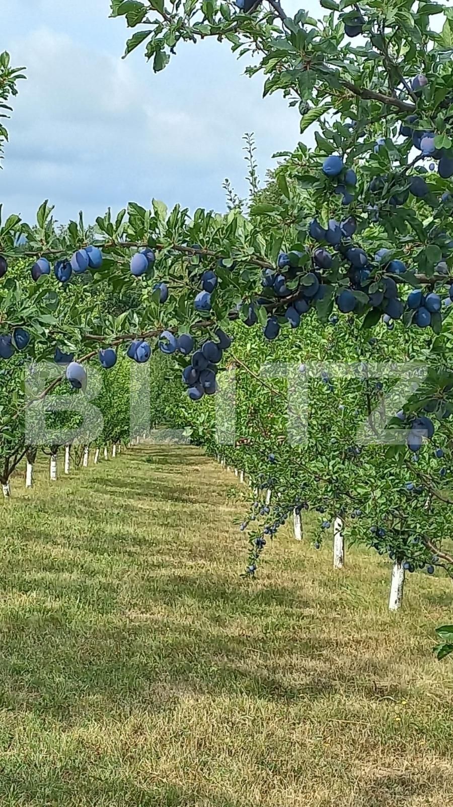 Teren de vânzare Nord Est - 135887TV | BLITZ Suceava | Poza5