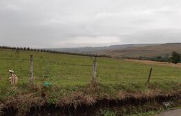 Teren Intravilan - 5000 mp, la 3 km de orașul Fălticeni