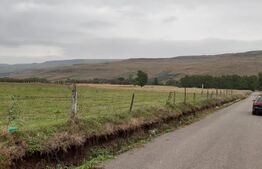 Teren Intravilan - 5000 mp, la 3 km de orașul Fălticeni