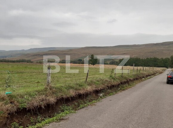 Teren de vânzare Falticeni - 135901TV | BLITZ Suceava | Poza1