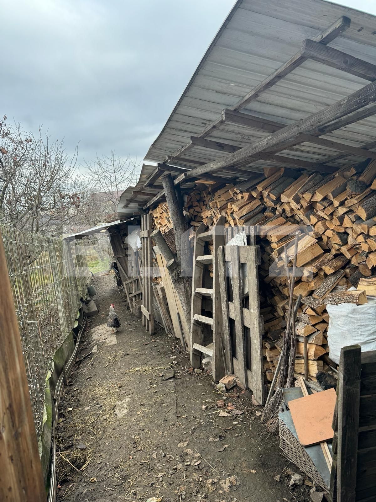 Casa de vânzare 3 camere Siret - 136025CV | BLITZ Suceava | Poza10