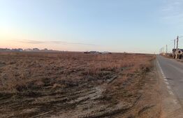 Teren 3600 mp, parcelat, 158 deschidere totala, Salcea