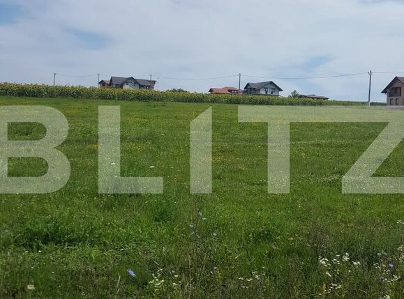 Teren de vânzare Salcea - 136116TV | BLITZ Suceava | Poza4