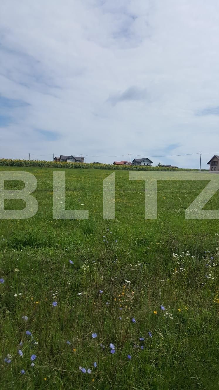 Teren de vânzare Salcea - 136116TV | BLITZ Suceava | Poza4
