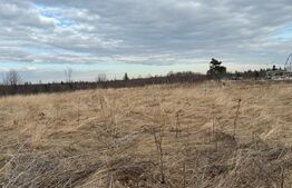 Teren intravilan, Hardic , cu proiect pentru accesare de fonduri europene!