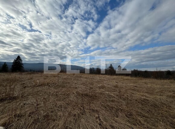 Teren de vânzare Marginea - 136126TV | BLITZ Suceava | Poza6