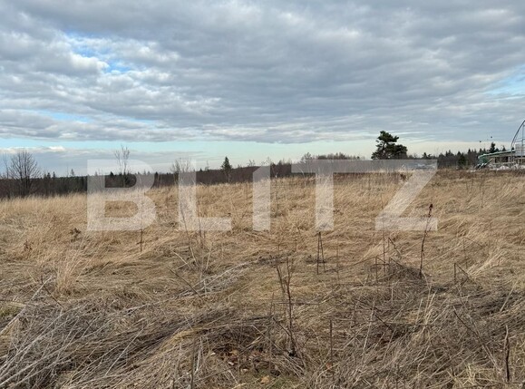 Teren de vânzare Marginea - 136126TV | BLITZ Suceava | Poza2