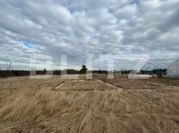 Teren de vânzare Marginea - 136126TV | BLITZ Suceava | Poza1