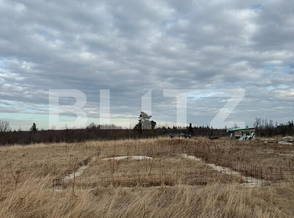 Teren de vânzare Marginea - 136126TV | BLITZ Suceava | Poza4