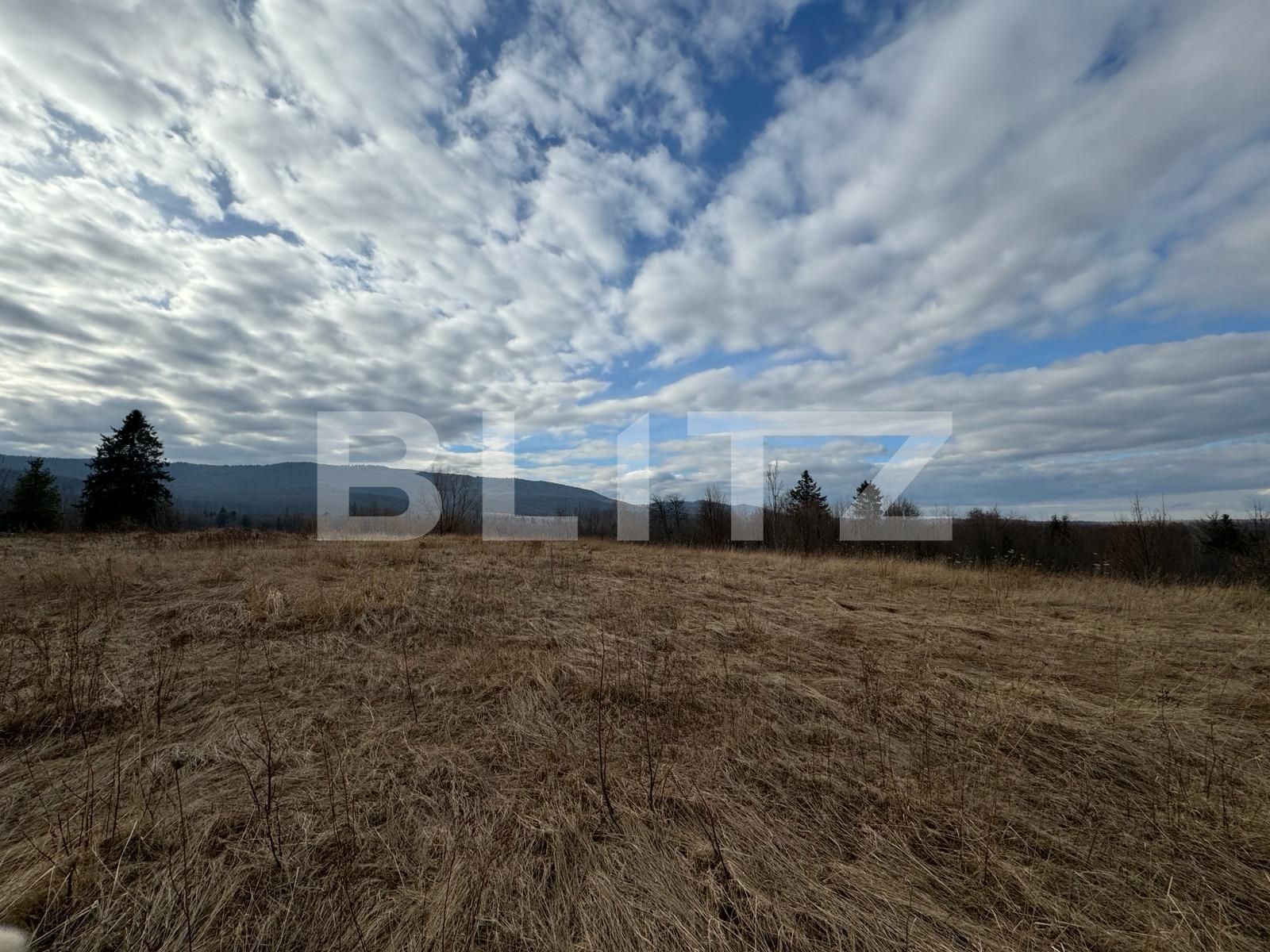 Teren de vânzare Marginea - 136126TV | BLITZ Suceava | Poza6