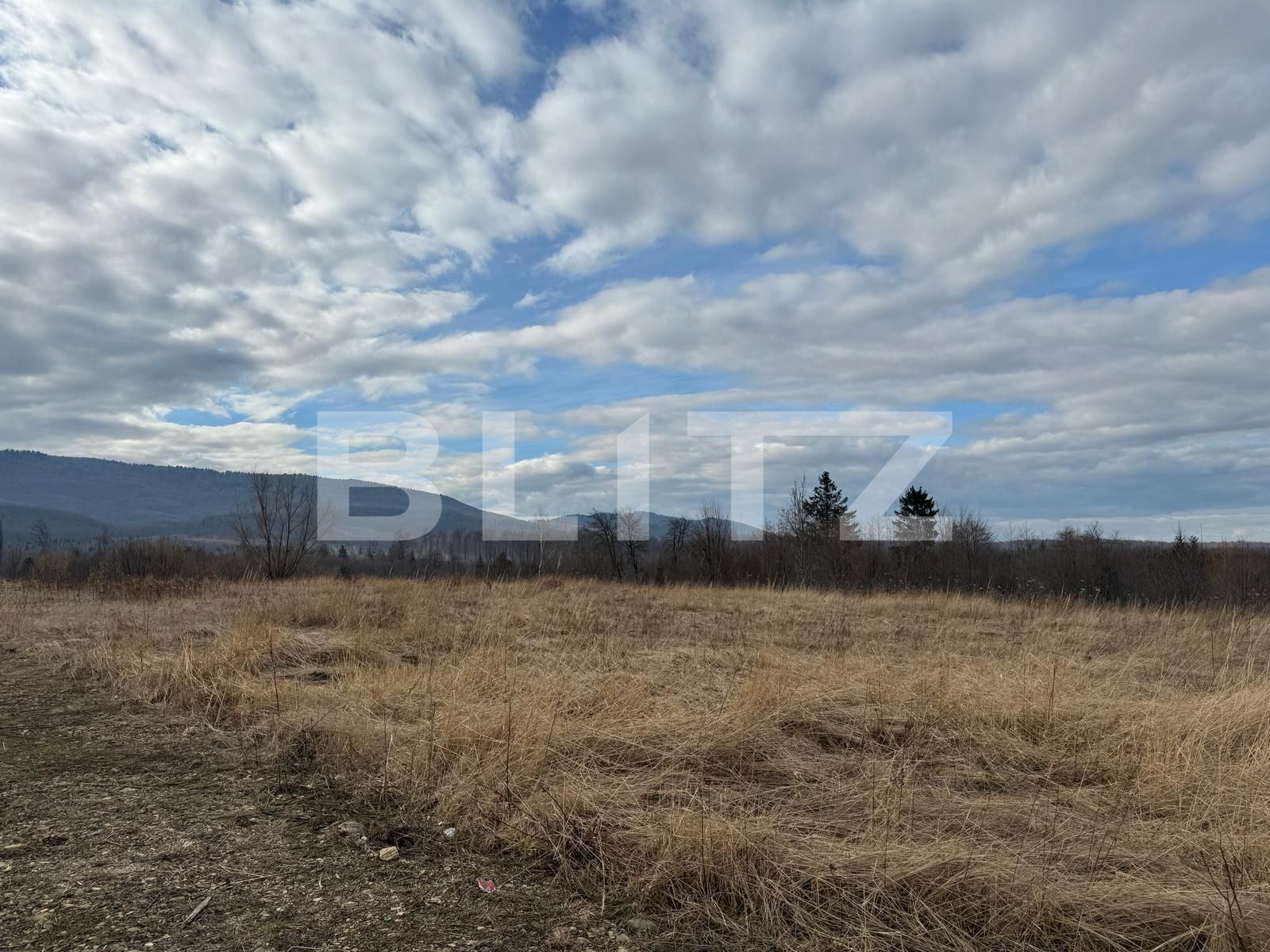 Teren de vânzare Marginea - 136126TV | BLITZ Suceava | Poza7