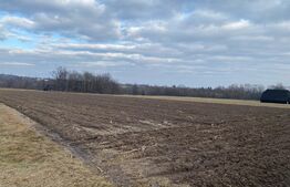 Teren 2000 mp, ideal casa, Horodnic