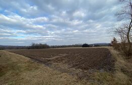 Teren 2000 mp, ideal casa, Horodnic