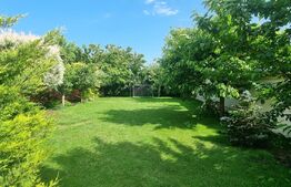 Oportunitate! Vila cu suprafata de 222 mp, mobilata si utilata modern, zona Penny Moara