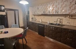 Oportunitate! Vila cu suprafata de 222 mp, mobilata si utilata modern, zona Penny Moara