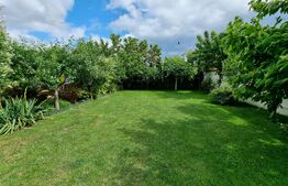 Oportunitate! Vila cu suprafata de 222 mp, mobilata si utilata modern, zona Penny Moara