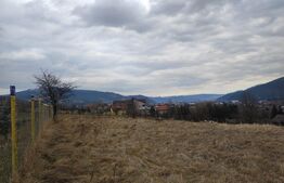 Teren 2934mp - Gura Humorului