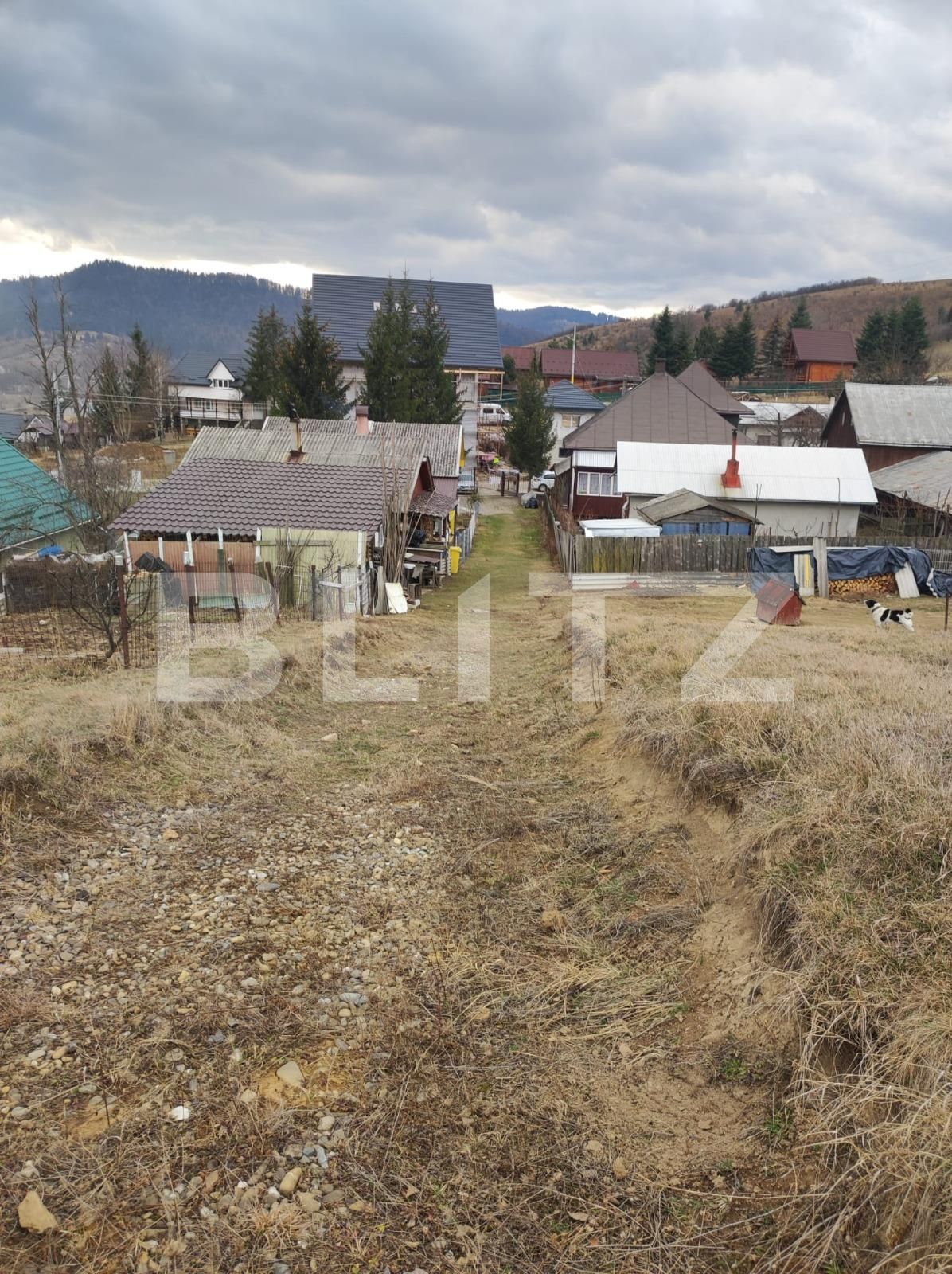 Teren de vânzare Gura Humorului - 136272TV | BLITZ Suceava | Poza4