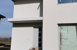 Duplex 95mp, Ipotesti