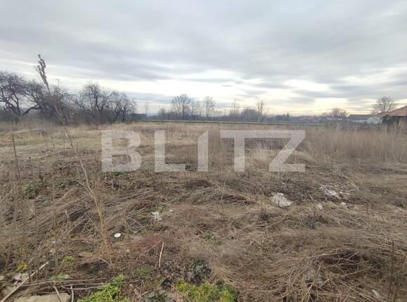 Casa de vânzare 3 camere Radauti - 136334CV | BLITZ Suceava | Poza7