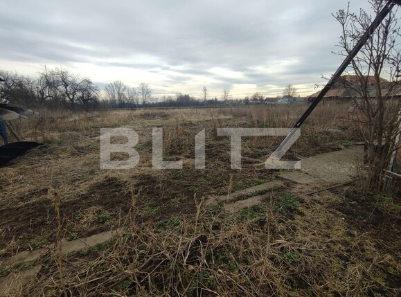 Casa de vânzare 3 camere Radauti - 136334CV | BLITZ Suceava | Poza6