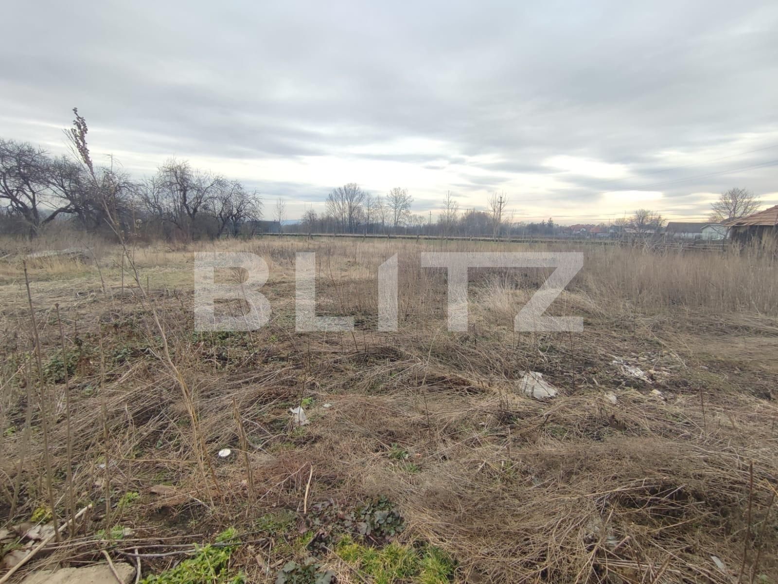 Casa de vânzare 3 camere Radauti - 136334CV | BLITZ Suceava | Poza7