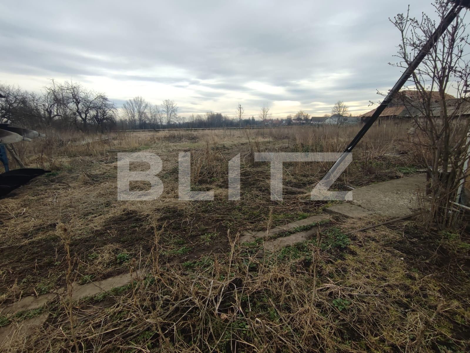 Casa de vânzare 3 camere Radauti - 136334CV | BLITZ Suceava | Poza6