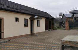 Proprietate 153mp, teren 1800mp,  Mitocasi