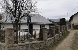 Proprietate 153mp, teren 1800mp,  Mitocasi