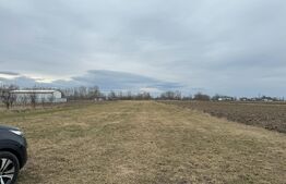 Teren  intravilan, 5200MP, centura Radauti