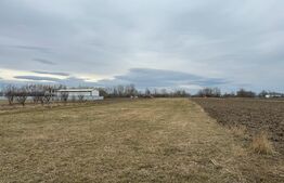 Teren  intravilan, 5200MP, centura Radauti