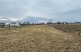 Teren  intravilan, 5200MP, centura Radauti