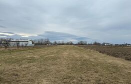 Teren  intravilan, 5200MP, centura Radauti