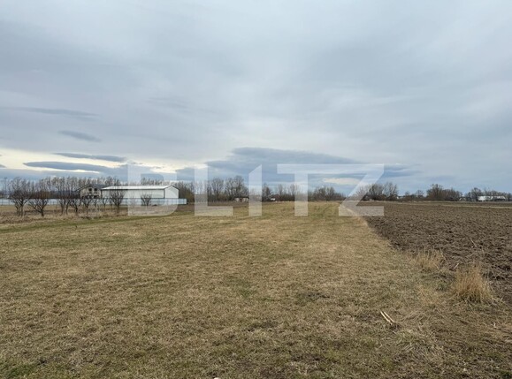 Teren de vânzare Radauti - 136411TV | BLITZ Suceava | Poza3