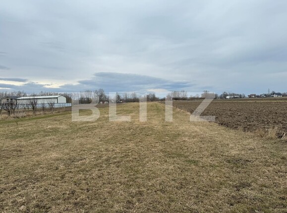 Teren de vânzare Radauti - 136411TV | BLITZ Suceava | Poza2