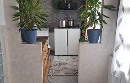 Case de vânzare + teren aferent - în Cristești 