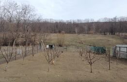 Case de vânzare + teren aferent - în Cristești 