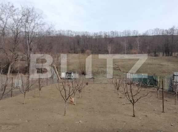 Casa de vânzare 4 camere Falticeni - 136444CV | BLITZ Suceava | Poza11