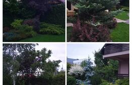 Casa individuala Scheia, 280mp, proiect deosebit cu sauna si teren 1000mp