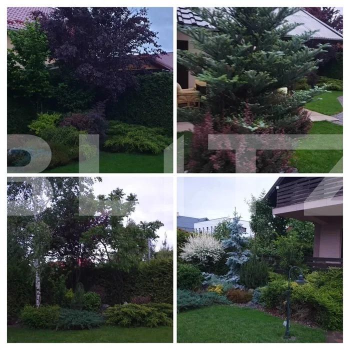 Casa de vânzare 6 camere Scheia - 136493CV | BLITZ Suceava | Poza3