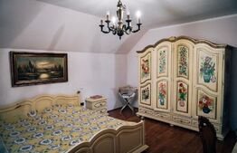 Casa individuala si hala, zona centrala, Radauti