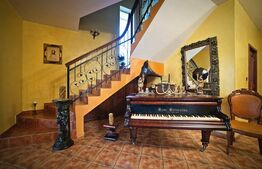 Casa individuala si hala, zona centrala, Radauti