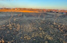 Teren extravilan - Fălticeni 