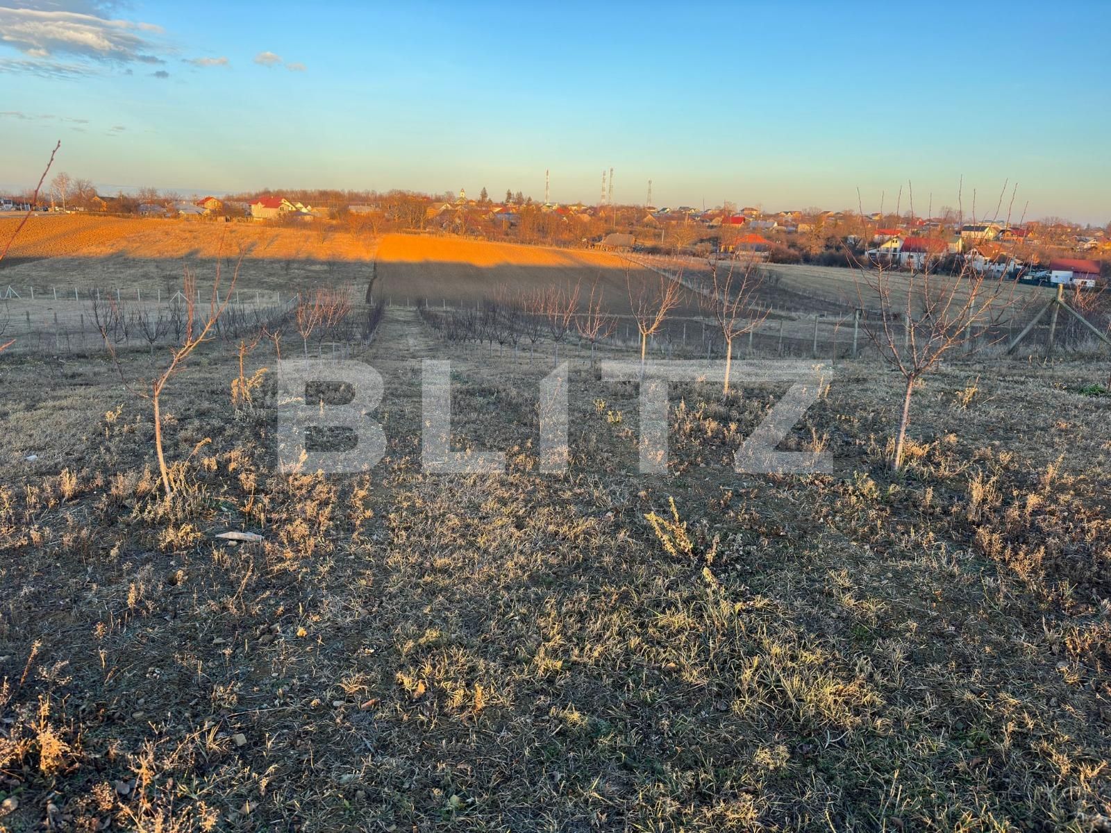 Teren de vânzare Falticeni - 136986TV | BLITZ Suceava | Poza4