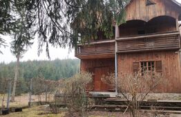 Cabana 250mp, Manastirea Humorului