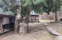 Cabana 250mp, Manastirea Humorului